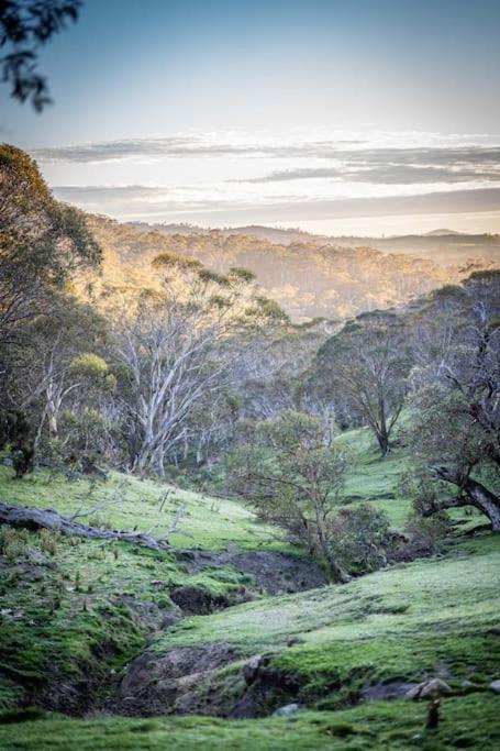 Big Yard Escapes - Two Off-Grid Tiny Houses On The Mowamba River Jindabyne Exteriér fotografie