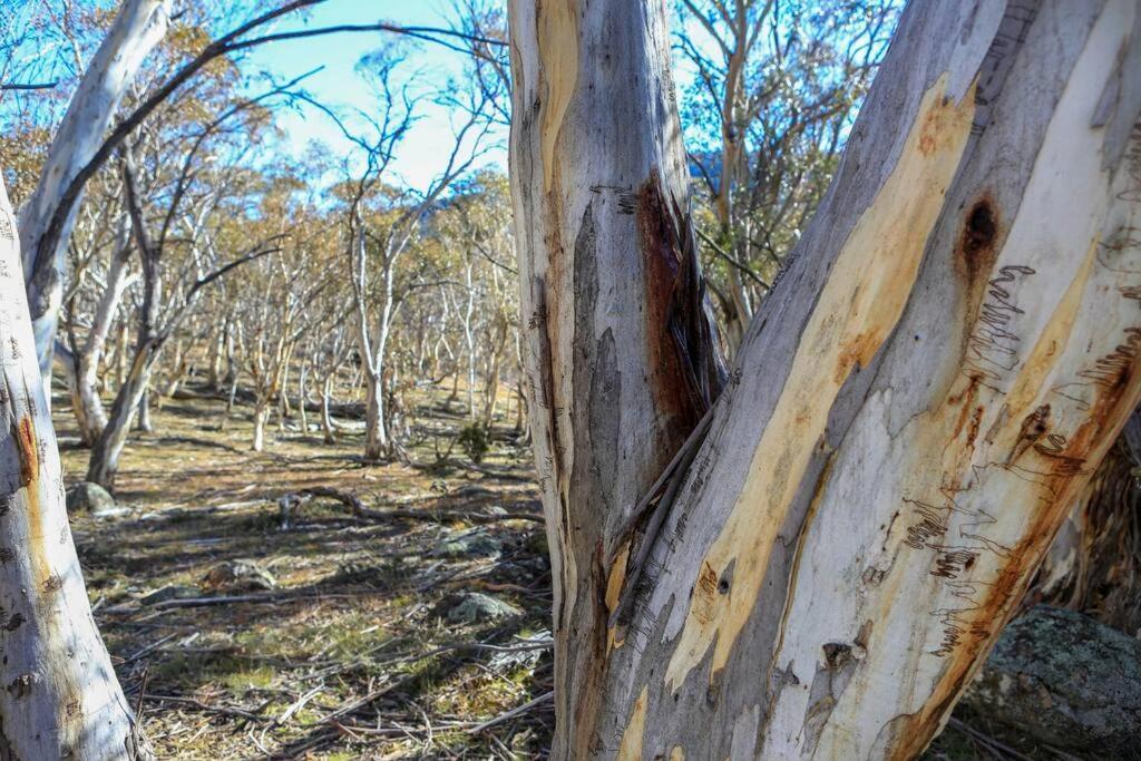 Big Yard Escapes - Two Off-Grid Tiny Houses On The Mowamba River Jindabyne Exteriér fotografie