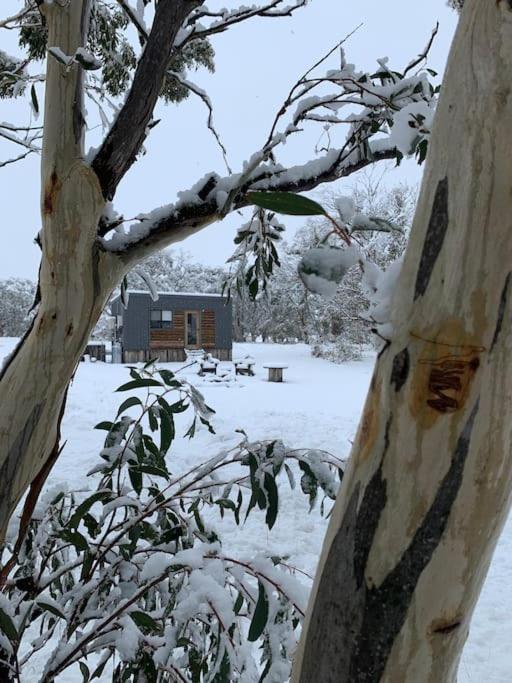 Big Yard Escapes - Two Off-Grid Tiny Houses On The Mowamba River Jindabyne Exteriér fotografie