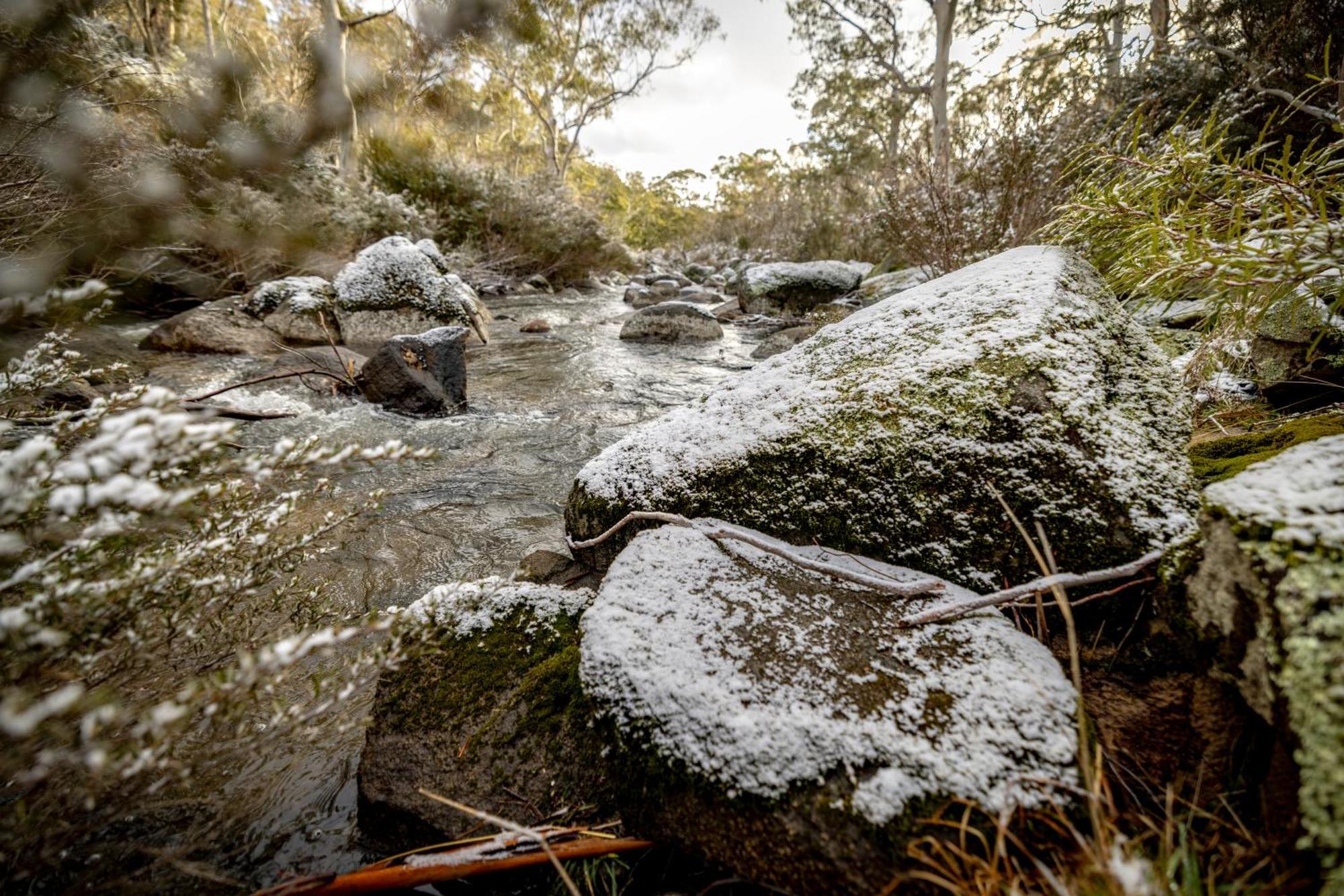 Big Yard Escapes - Two Off-Grid Tiny Houses On The Mowamba River Jindabyne Exteriér fotografie